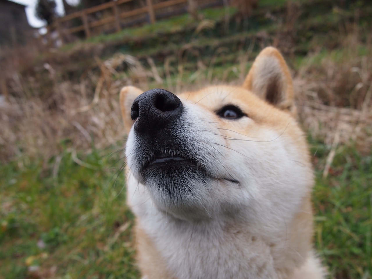当NBA总决赛误入足球世界，莱比锡红牛稳稳拿下比利亚雷亚尔的跨界狂想