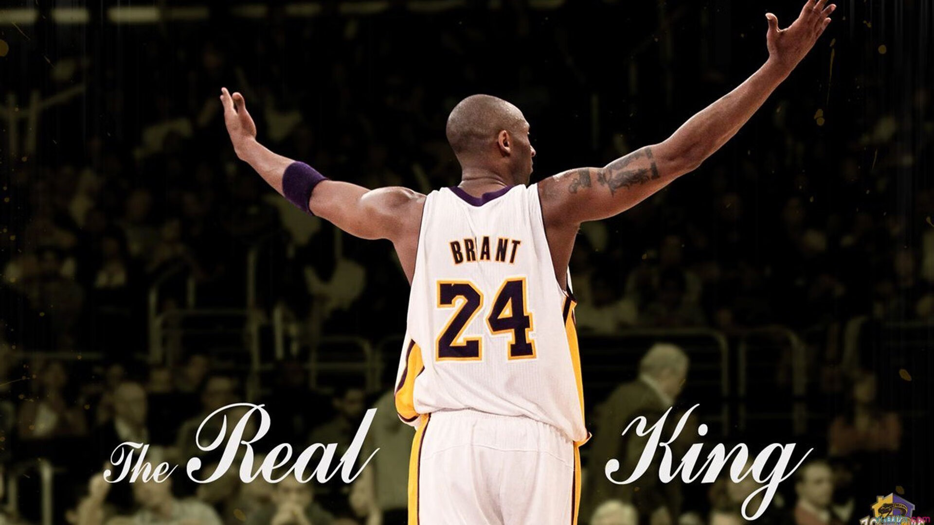 从背锅侠到救世主，哈利伯顿在欧冠窒息之夜的压力觉醒